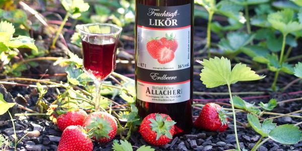 Strawberry-fruit wine-LIQUEUR